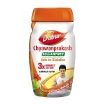 Dabur Chyawanprash Sugar Free 500g