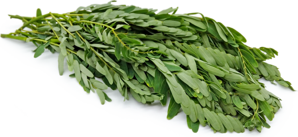 Fresh Agathi Leaves 400g - Image 2