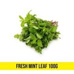 Fresh Mint Leaf 100g