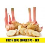 Fresh Blue Ginger 970 - 1kg