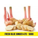 Fresh Blue Ginger 470 - 500g