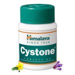 Himalaya Cystone Kidney Health 60s