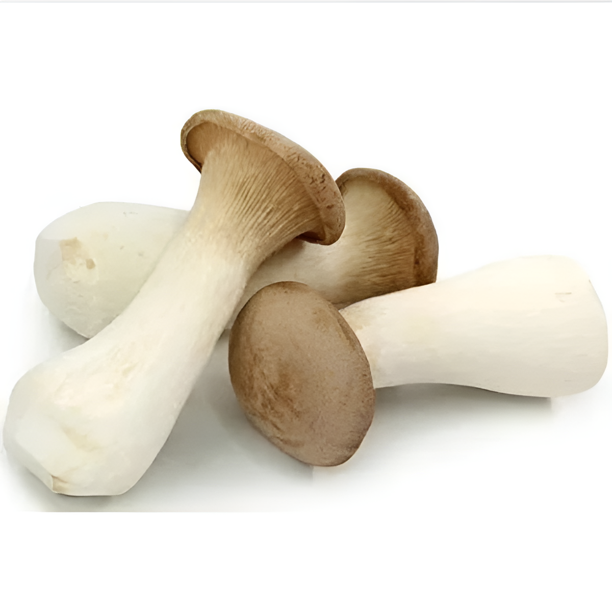 King oyster mushroom 200g King Oyster Mushroom 200g - Image 1